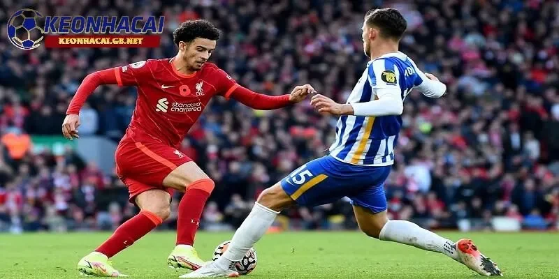 Soi kèo nhà cái Brighton vs Liverpool Soi kèo nhà cái Brighton vs Liverpool